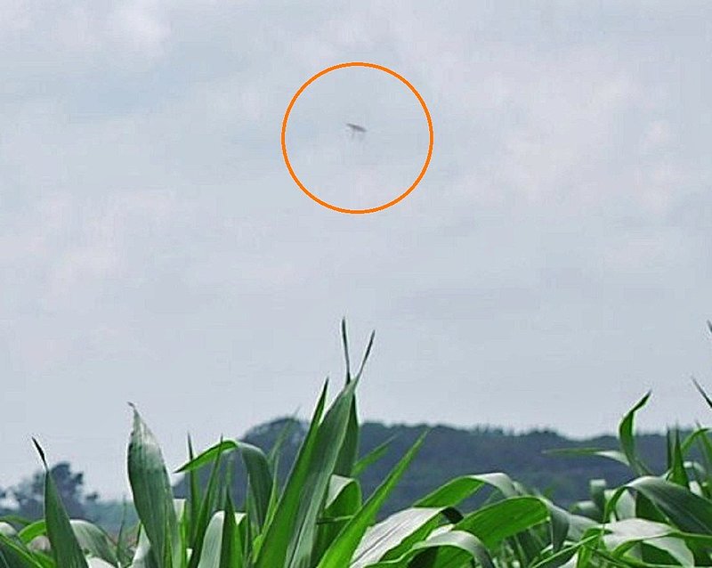 5-28-08 MONROE LOUISIANA--MUFON.jpg :: XX