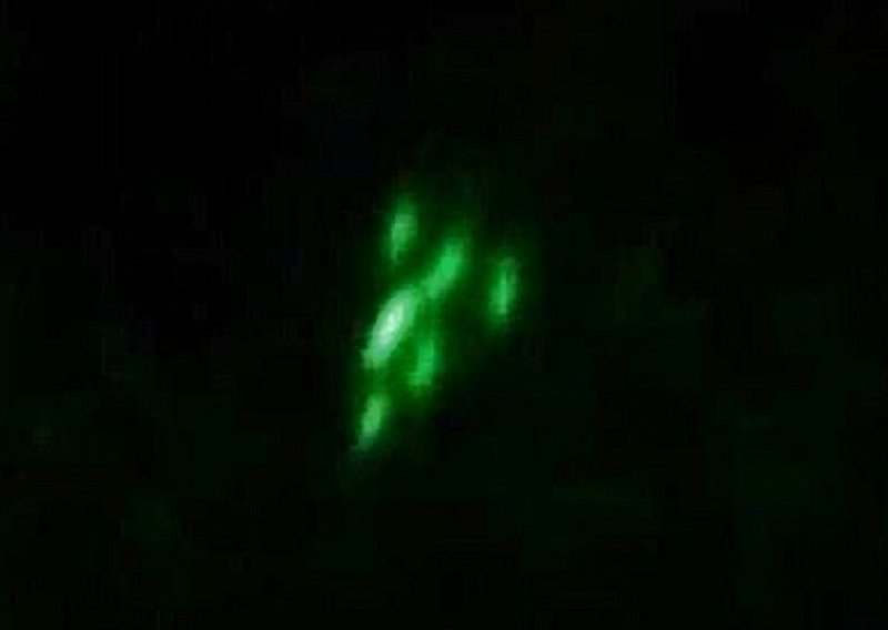 5-28-10 OAKLAND CALIFORNIA--MUFON 29528--PIC 1.jpg :: XX