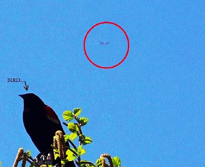5-5-06 CRANBROOK BRITISH COLUMBIA CANADA--MUFON 18781.jpg :: YY