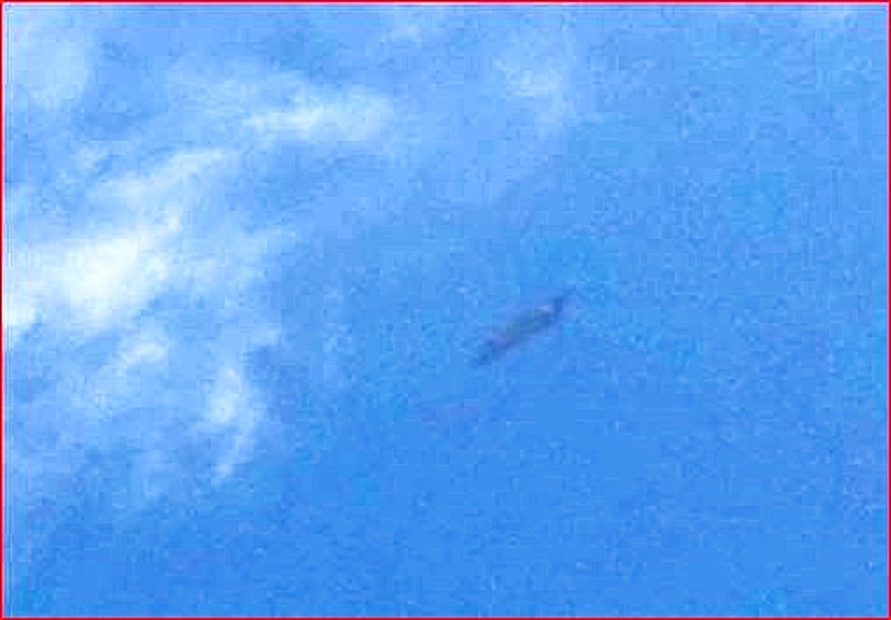 6-11-22 MANDURAH WESTERN AUSTRALIA-SOURCE JOANNA FAY.jpg