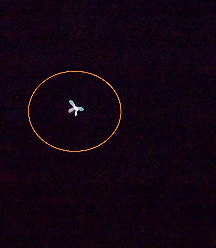 6-19-08 WICHITA KANSAS--MUFON 11239.jpg :: 4