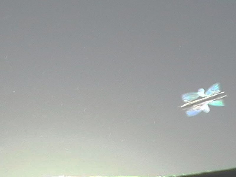 6-22-02 TORREON COAHULIA MEXICO--MUFON 8664--PIC 5.jpg :: XX