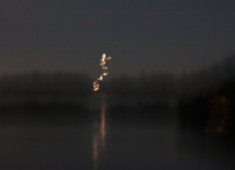 7-10-09 KINGSTON ONTARIO CANADA--MUFON 33838.jpg :: XX