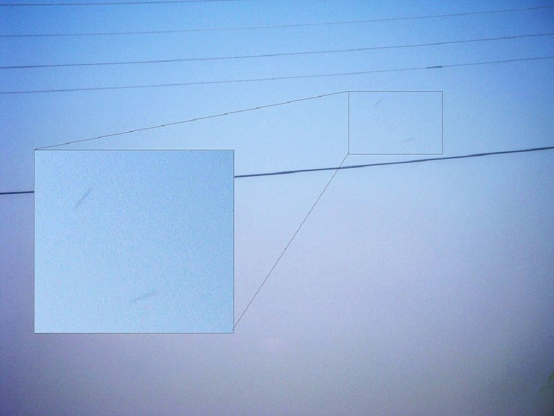 7-14-10 LEBANON--MUFON 25605--PIC 2.jpg :: XX