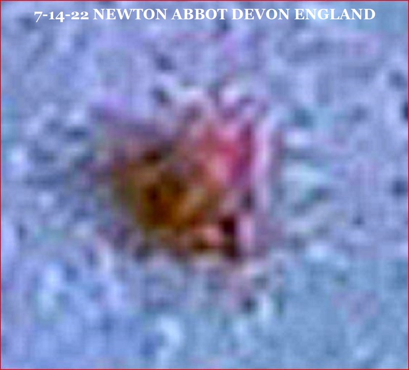 7-14-22 NEWTON ABBOT DEVON ENGLAND-JOHN MOONER PHOTOGRAPHER-2.jpg