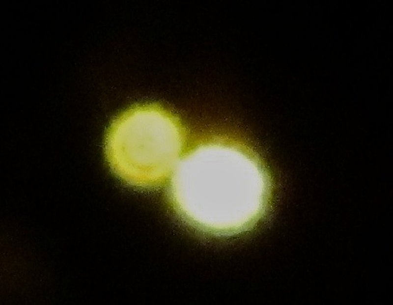 7-21-11 YUCCA VALLEY CALIFORNIA--JULIA DAVIS RESEARCHER--PIC 3.jpg :: 4