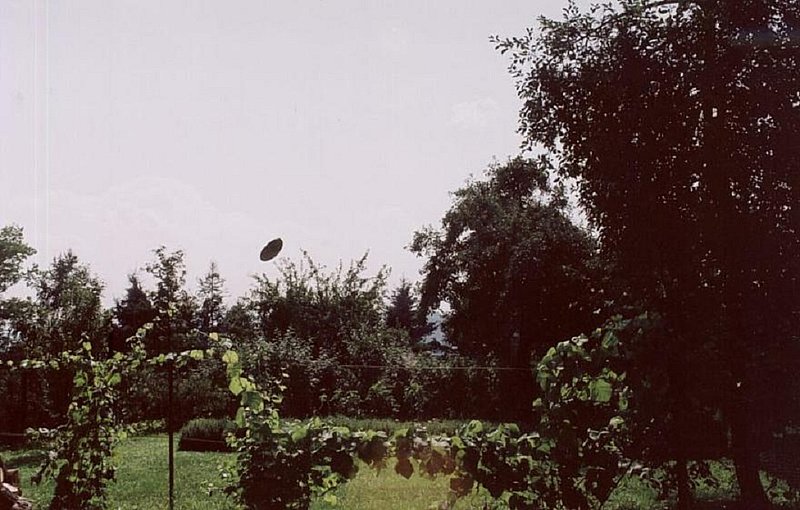 7-26-03 SKUROWA POLAND--UFORAPORT.PRV.PL--UFO CASE BOOK--pic 1.jpg :: 4