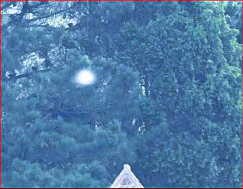 7-28-25 SHELDON DEVON ENGLAJOHN MOONER PHOTOGRAPHER-1.jpg