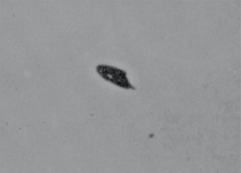 7-7-47 PHOENIX ARIZONA--UFO CASEBOOK.jpg :: YY