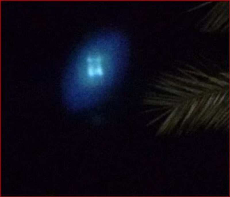 7-9-17 FRESNO CALIFORNIA--JANET DARLING SOURCE.jpg