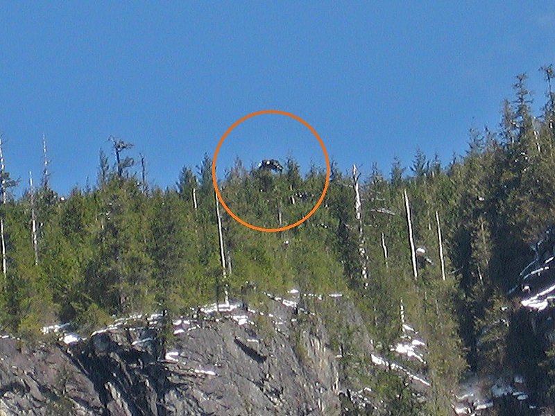 8-13-09 GRANITE FALLS WASHINGTON--MUFON 33393.jpg :: XX