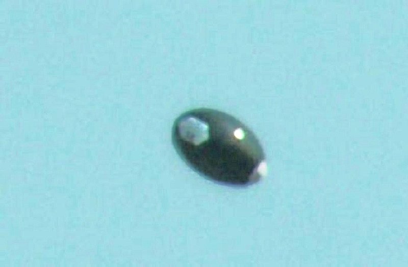 8-14-07 MALDEN SOUTH CAROLINA--UFOSNW--nc pic 2.jpg :: 4