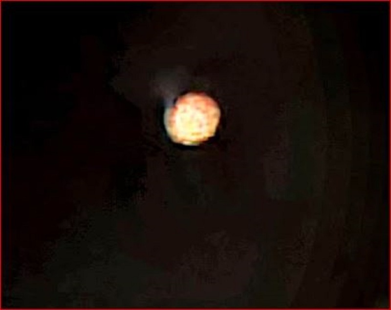 8-21-25 ELK GROVE CALIFORNIA--CHERYL HOLLAND PHOTOGRAPHER.jpg