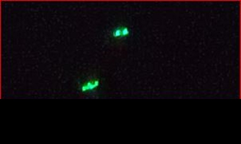 8-22-22 SPOKANE WASHINGTON--NEWS MEDIA 48.jpg