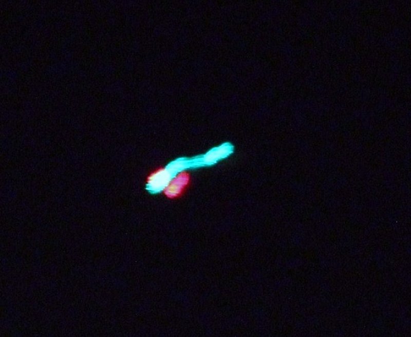 8-23-11 HOBOKEN NEW JERSEY--MUFON 32897--PIC 2.jpg :: YY