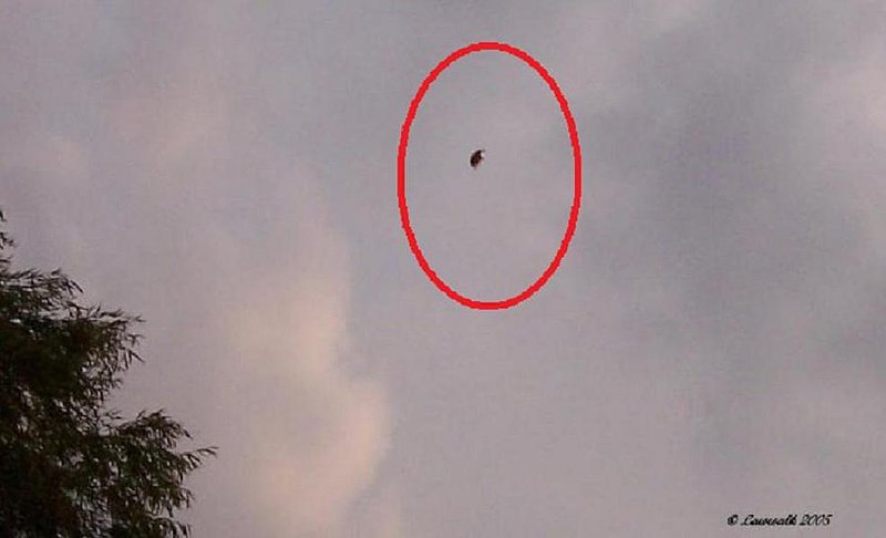 8-27-05 KAUFMAN TEXAS--UFO CASE BOOK--COPYRIGHT ON PHOTO.jpg :: 4
