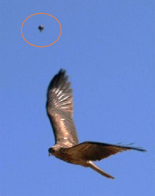 8-29-2008  WYCLIFFE WELL AUSTRALIA--UFO CASE BOOK.jpg :: 4