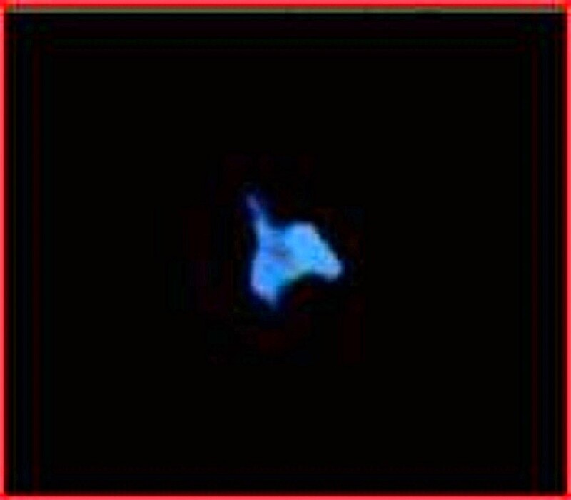 8-7-25 ELK GROVE CALIFORNIA--CHERYL HOLLAND PHOTOGRAPHER-1.jpg