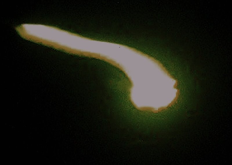 9-19-04  WARRENVILLE ILLINOIS--  MUFON.jpg :: X