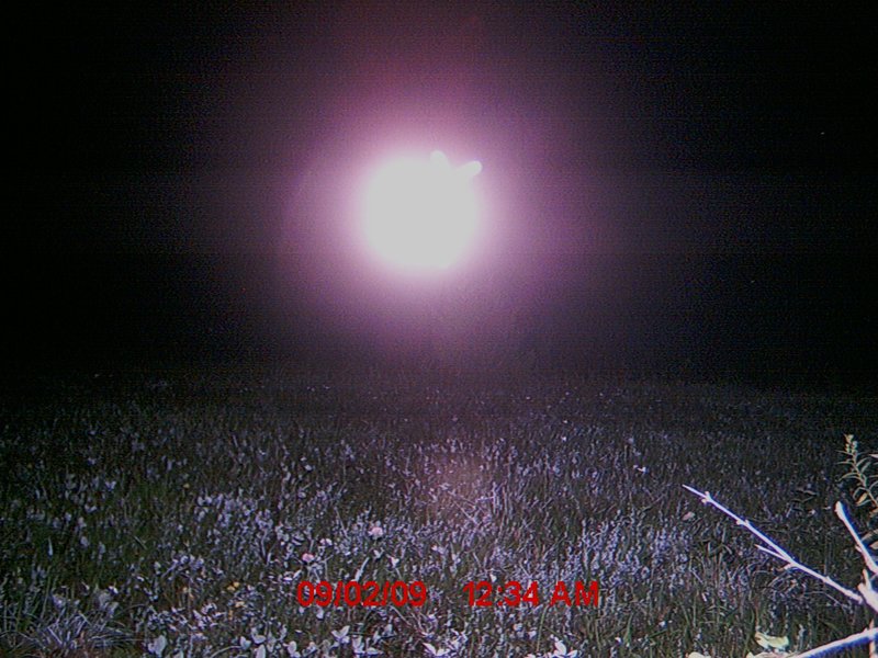 9-2-09 NEW YORK TRAIL CAMERA--MUFON.jpg :: X