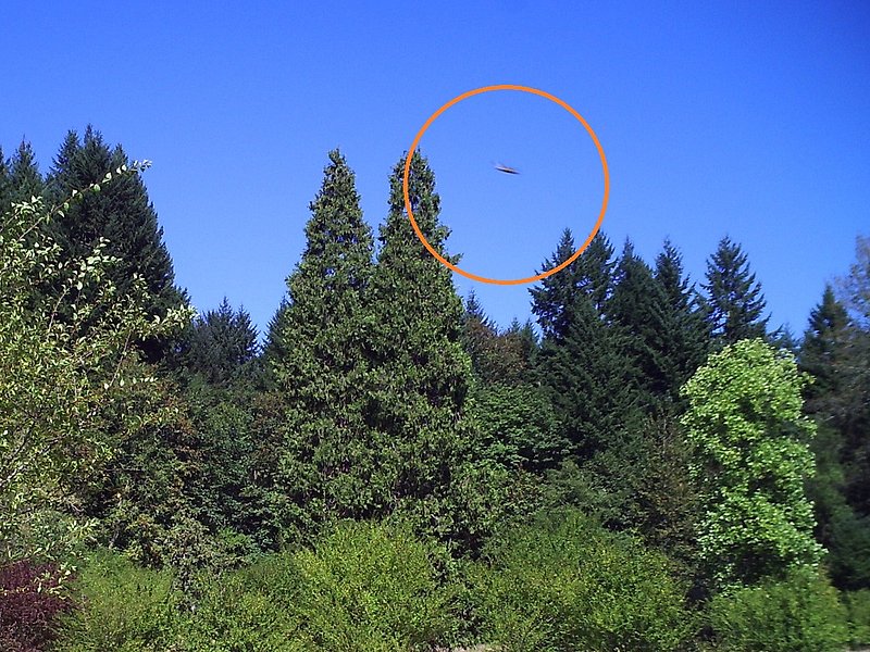 9-20-11 SWEET HOME OREGON -- MUFON 31993--PIC 1.jpg :: YY
