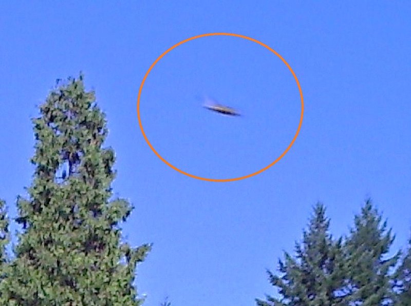 9-20-11 SWEET HOME OREGON--MUFON 31993--PIC 2.jpg :: YY