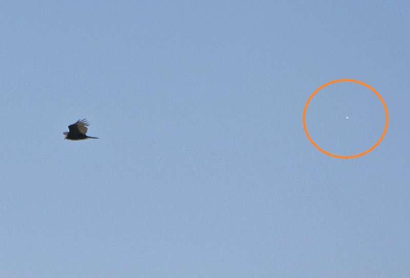 9-23-10 GRAND CANYON NATION AL PARK--MUFON 30392--PIC 2.jpg :: 5