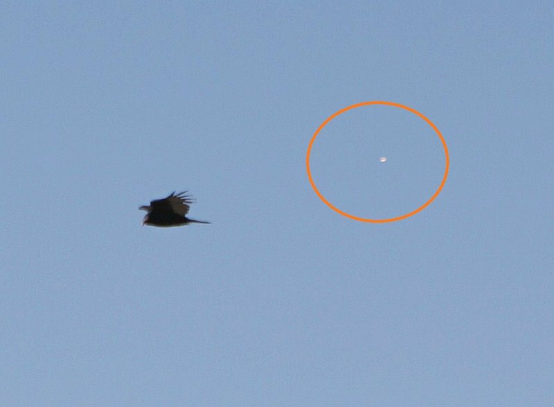 9-23-10 GRAND CANYON NATIONAL PARK--MUFON 30392--PIC 1.jpg :: 5