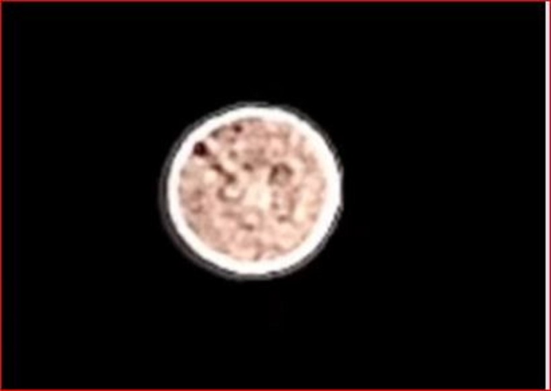 9-30-25 FAYETTEVILLE NORTH CAROLINA--KY SHIIPS OVER CASHIERS.jpg