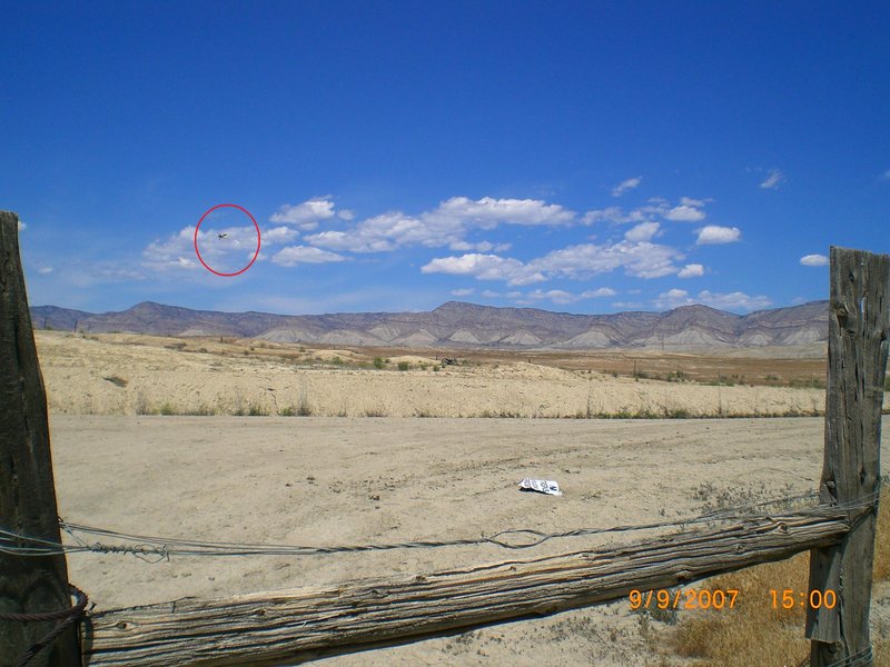 COLORADO--MUFON--INSECT.jpg :: X