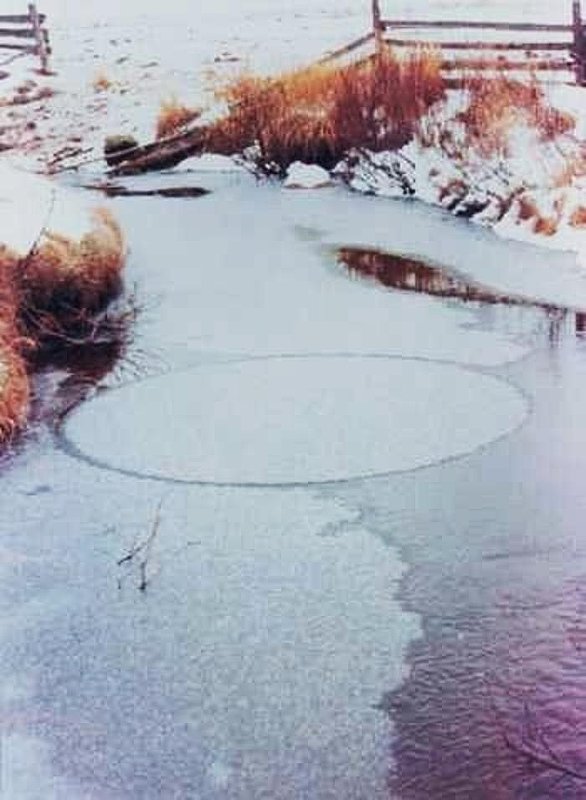 JAN 1977 WELLS GRAY PARK BC UFOBC.jpg :: A