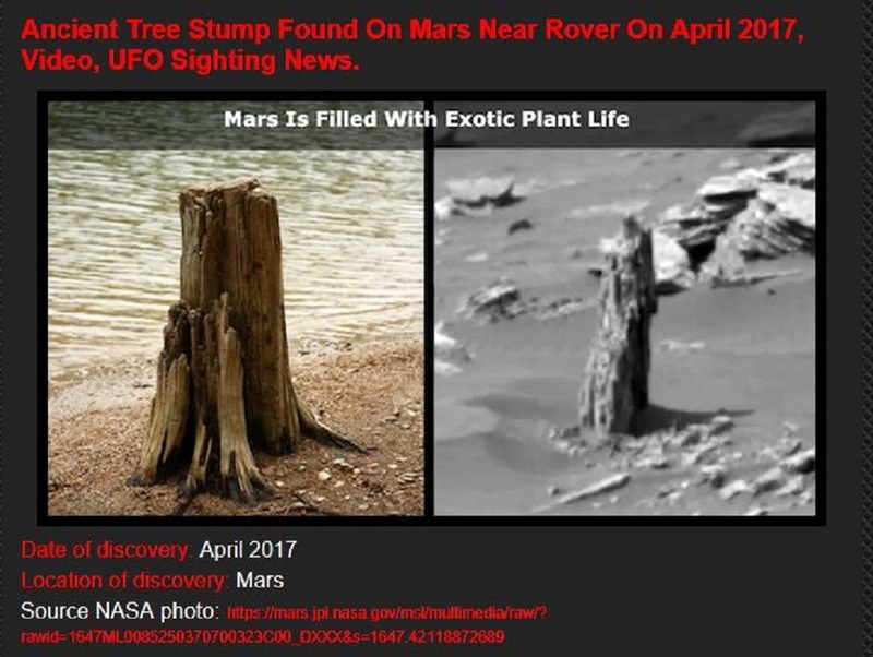 MARS--APRIL 2017--ROVER FINDS MYSTERIOUS TREE TRUNK.jpg