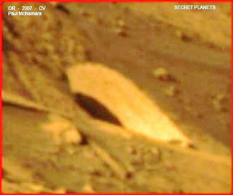 MARS--PAUL McNAMARA RESEARCHER 2.jpg :: XX