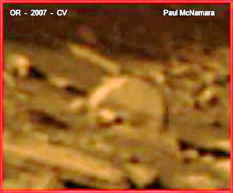 MARS--PAUL McNAMARA RESEARCHER.jpg :: XX