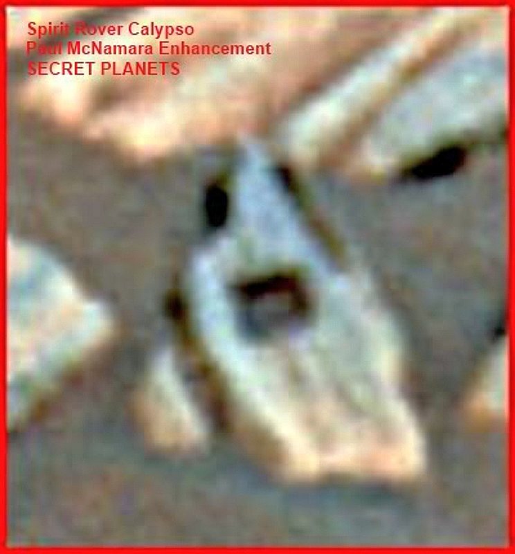 MARS--PAUL McNAMARA RESEARCHER1.jpg :: XX