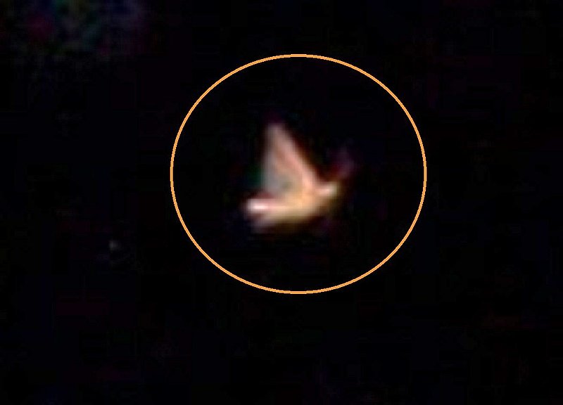 STRANGE PHOTO.jpg :: 611