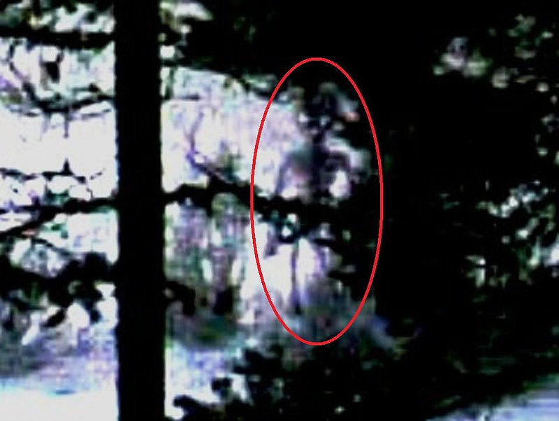 STRANGE--12-20-05 ARTIC CIRCLE AREA--ALIEN--UFO CASE BOOK--COPYRIGHT M.I.  PIC 2.jpg :: T