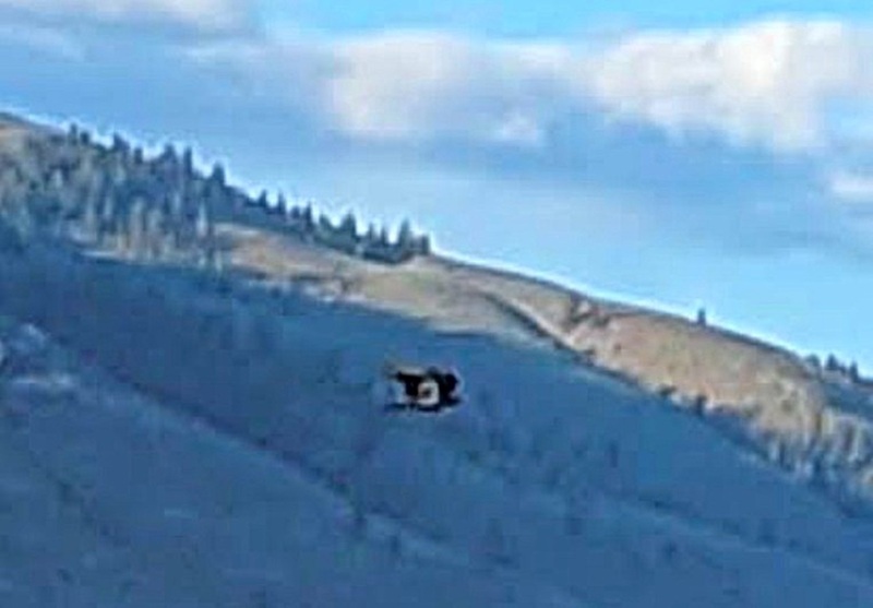 STRANGE--JULY 2024 KAMLOOPS BRITISH  COLUMBIA CANADA--JAMES WILFORD PHOTOGRAPHER.jpg