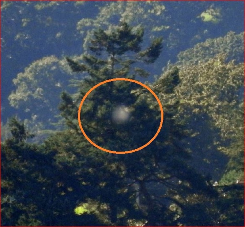 STRANGE-12-8-24 TEIGN ESTUARY DEVON ENGLAND--JOHN MOONER SOURCE-1.jpg