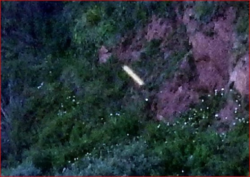 STRANGE-5-22-25 TEIGNMOUTH DEVON ENGLAND-JOHN MOONER PHOTOGRAPHER-2.jpg