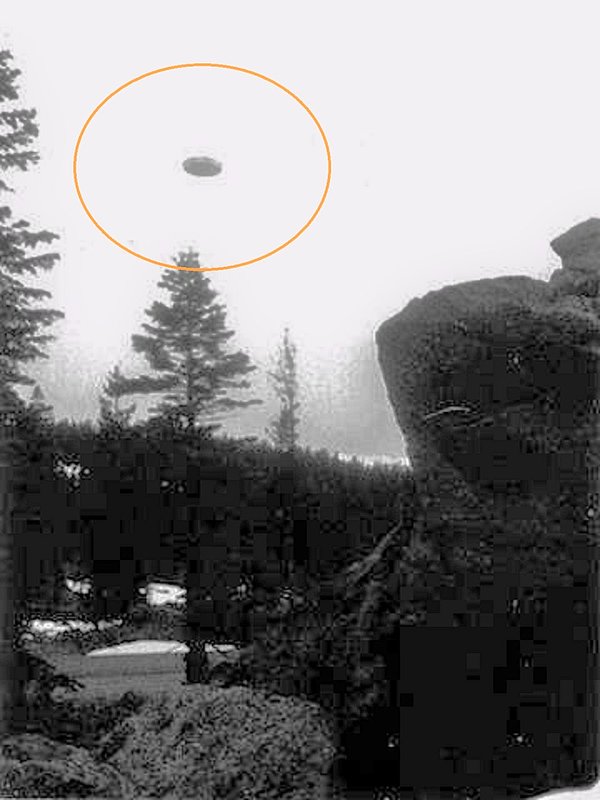 X--I NEED MORE INFO FOR PIC M-540.jpg :: T