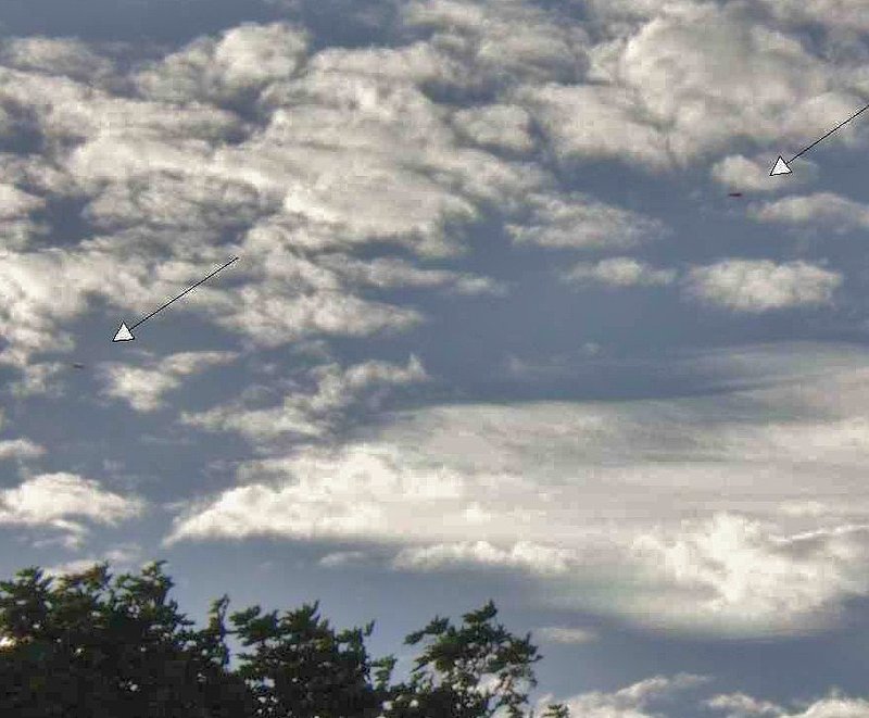 X--INEED MORE INFO FOR PIC T-425--UK UFO--JODIE RICHARDSON RESEARCHER.jpg :: T