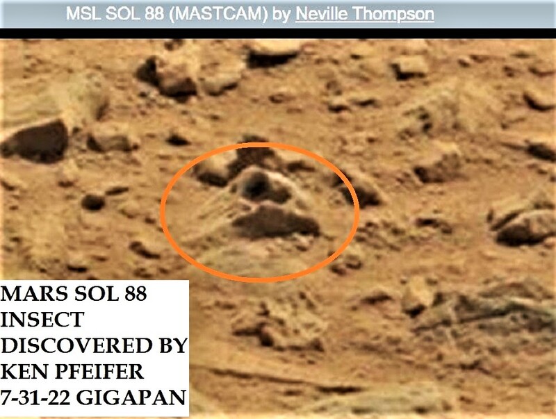 ZU-MARS SOL 88 STRANGE INSECT DISCOVERED BY KEN PFEIFER 7-31-22 GIGAPAN(1).jpg