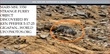 1A Z21 MARS MSL 3350 STRANGE OBJECT DISCOVERED BY KEN PFEIFER 5-17-25 GIGAPAN-22   TOP--2.jpg