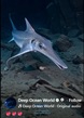 STRANGE--DEEP OCEAN CREATURE.jpg