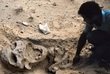 STRANGE--HUGH SKELETONS.jpg