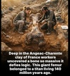 STRANGE--MASSIVE BONE DISCOVERED.jpg