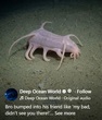 STRANGE--SEA CREATURE(1).jpg