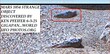 Z27 MARS 1054 STRANGE OBJECT DISCOVERED BY KEN PFEIFER 6-3-25 GIGAPAN-21.jpg