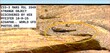 Z33-3  MARS MSL 3549 STRANGE OBJECT DISCOVERED BY KEN PFEIFER 10-9-25 GIGAPAN-17.jpg
